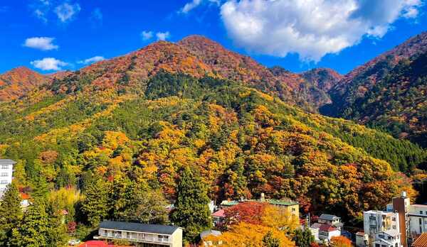 紅葉シーズンの客室からの眺め※一例