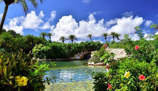 【シギラ黄金温泉（リゾート内）/ジャングルプール】水着で入るジャングルプールです