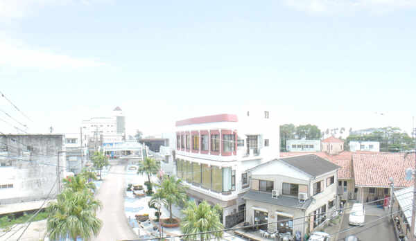 *【部屋からの景色】ヤシの木が並び南国らしい風景です