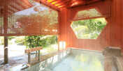 源泉掛け流し露天風呂付和洋室【和室12.5畳+ツインルーム】