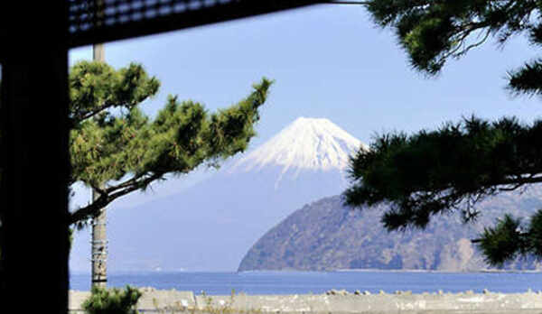 【客室】窓から富士山を望む客室も