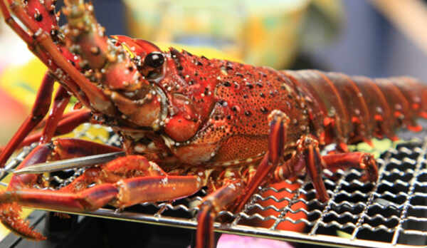 伊勢海老の活焼き