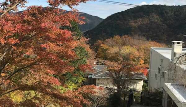 202 和室からの眺望(紅葉の季節)