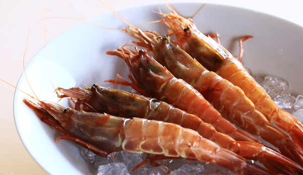 ガサエビは4月初旬から6月末までしか食べられない幻の貴重な食材