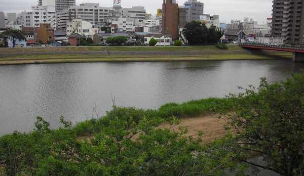 デラックスシングルから見える桜川②