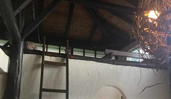 アトリエ風建屋