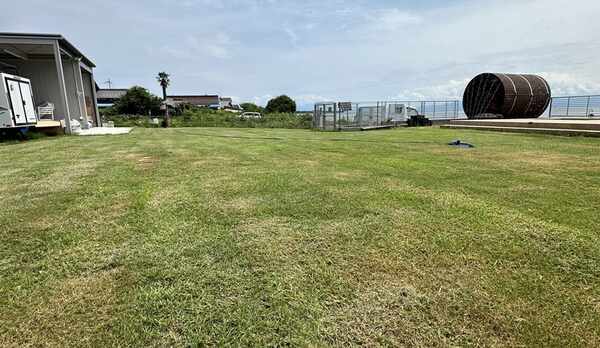 プライベートドッグラン