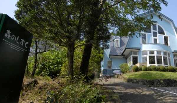 まさに森の隠れ家♪