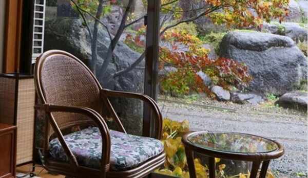 姫五葉松からの眺め