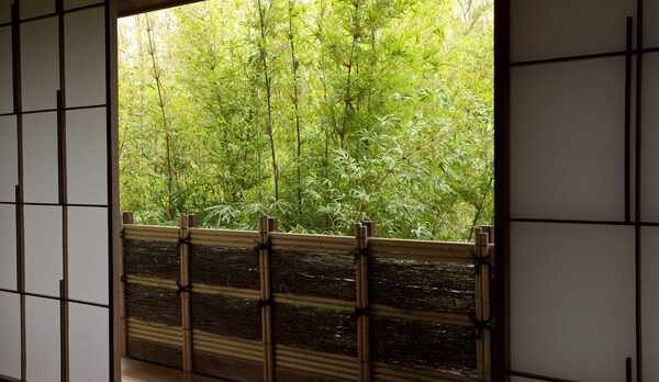 部屋から新緑をみる