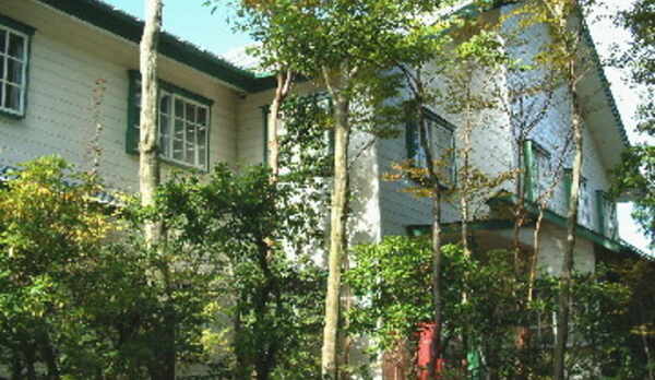 大きな木に囲まれた箱根の山の外観