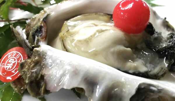 宿前の海で育つ、あだこ岩牡蠣は三重ブランド！