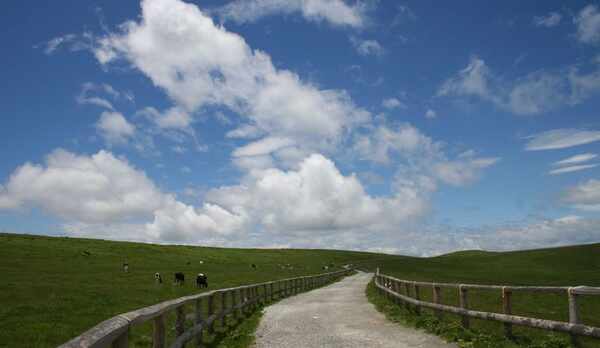 広大な美ヶ原高原