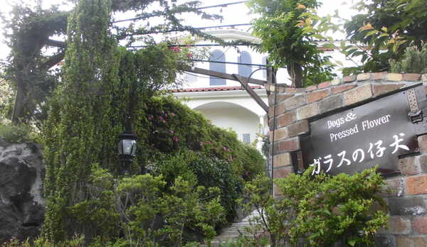 ガラスの仔犬外観