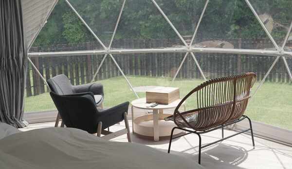 28㎡のドームテントは小型犬から大型犬までご宿泊頂けます