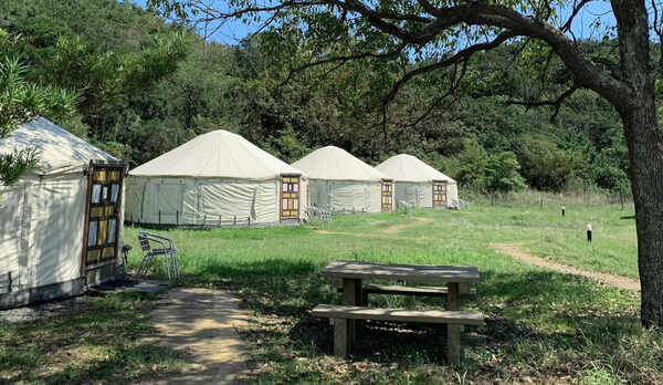 ・【パオ】自然を満喫できます