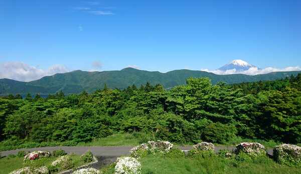 芦ノ湖側客室の眺望（晴天時）