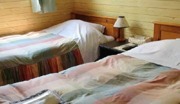 アーリー柄のベッドカバーも