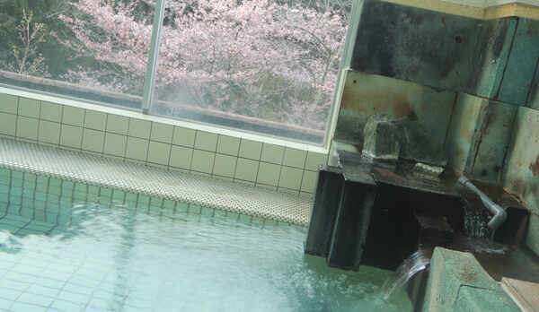◆【大浴場-春-】桜や新緑など四季折々の弥彦山を眺めながら、のんびりと浸かってください