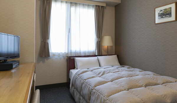 室内例：ダブルエコノミー　12㎡　１４０ｃｍ幅ダブルベッド1台