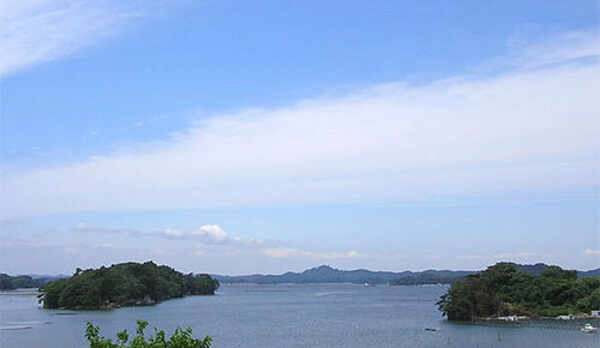 部屋からの眺め