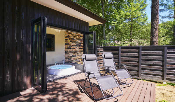 【ヤマボウシ】テラス