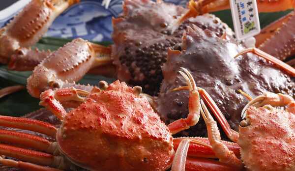 タグ付き松葉かに