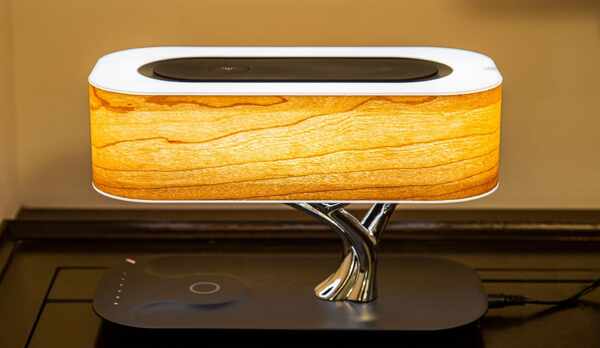 【デラックスツイン】スピーカー