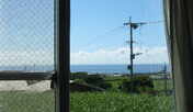 お部屋からの眺め