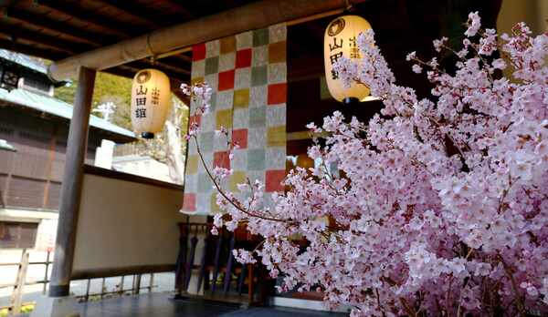 ■山々の緑と花々の優しい色彩に包まれた、静かないで湯&hellip;山田館