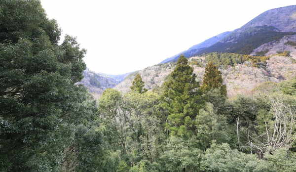 エグゼクティブルーム/景観