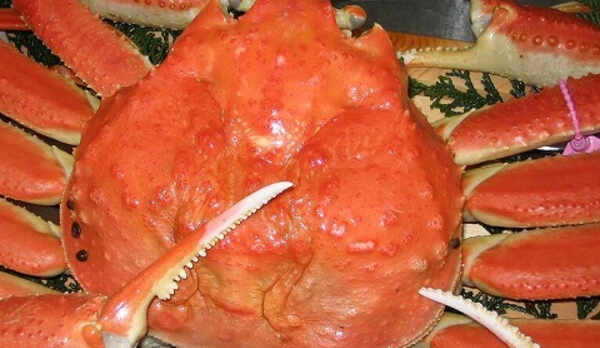 茹で柴山がに（松葉がに）の一例