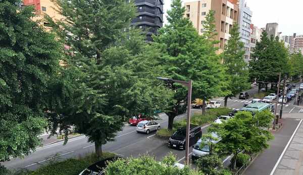 ホテル前の晩翠通り