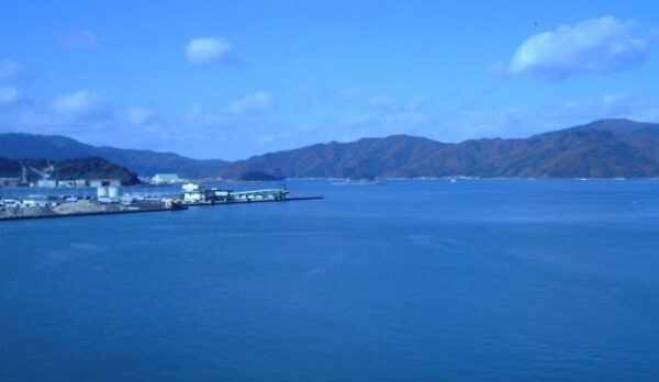 海側客室からの眺望