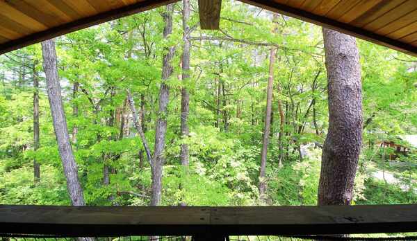 ・四季折々の自然を肌で感じる心地よい空間