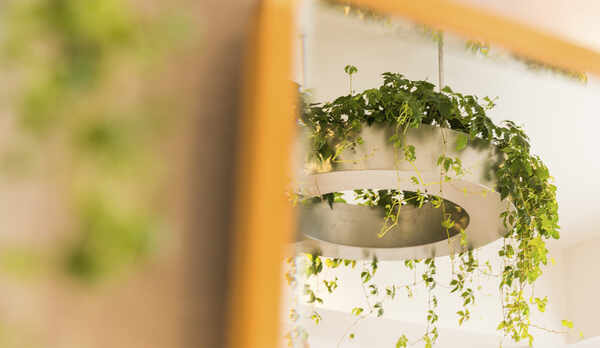 【客室】プレミアムグリーン