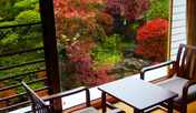 2階特別室からの紅葉