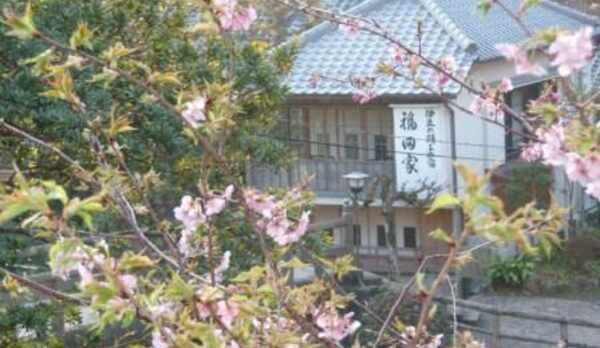 河津桜の福田家
