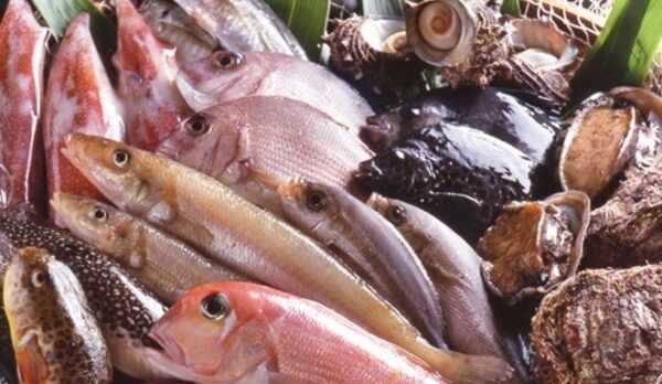 間人港で揚がるピチピチの地魚