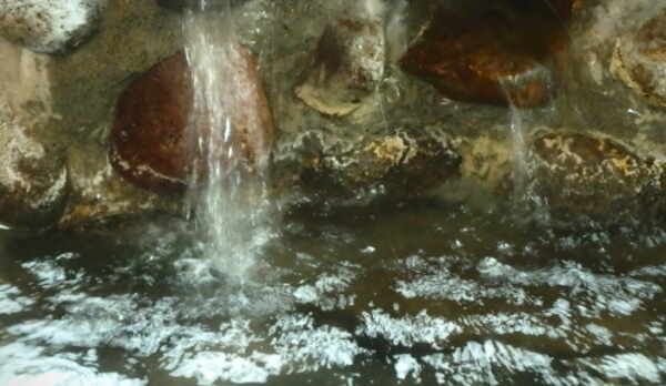 伊豆　下田温泉　新泉の湯
