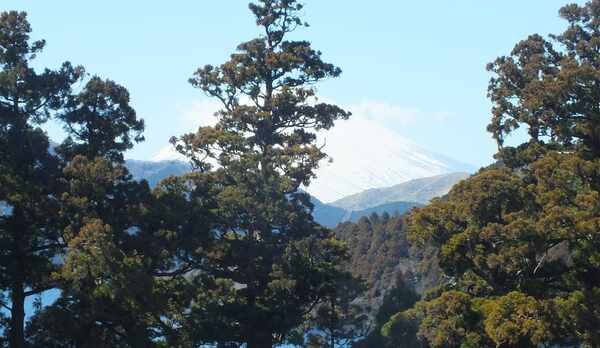 施設からの眺望