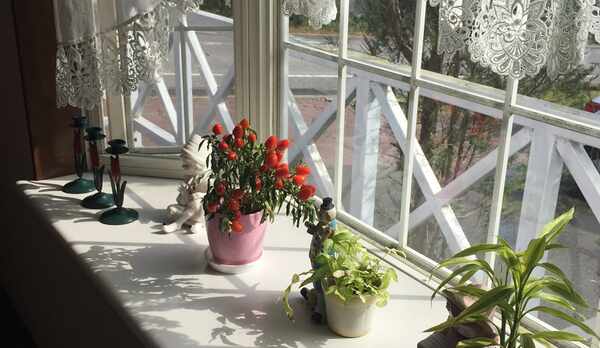 【本館＊ダイニング】