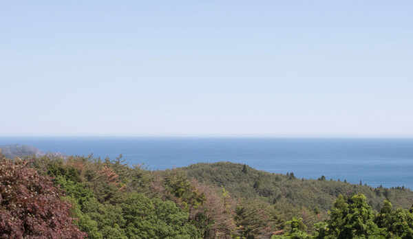 お部屋からの眺望（3F）