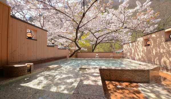 露天風呂「森と桜の湯」