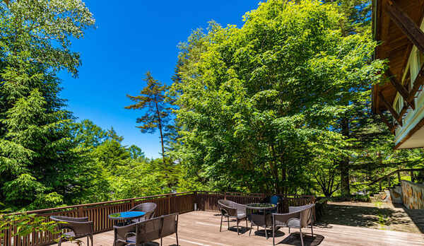 緑の中から広がる青空〜テラスより〜