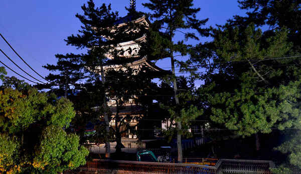 *当館目の前の五重塔は夜はライトアップされます。お部屋の窓からご覧いただけますよ。 