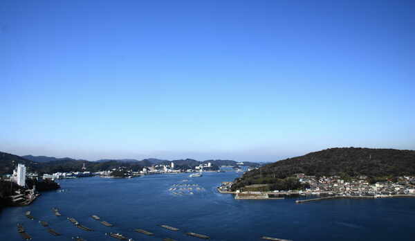 客室からの眺め