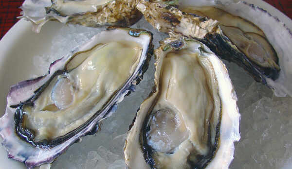 殻付き活牡蠣