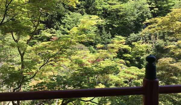 施設からの眺望