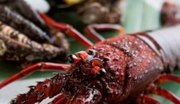 伊豆の海は魚介類の宝庫